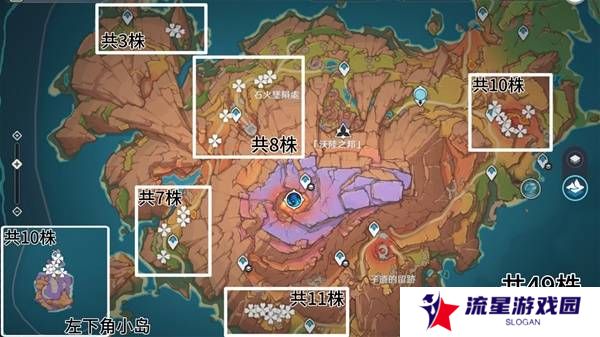 原神云岩裂叶在哪采集   全部云岩裂叶采集路线盘点图片2
