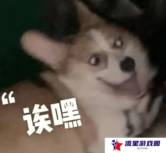 复活赛仅打三天就输了！这漫画复刊失败，为啥却被读者群嘲？