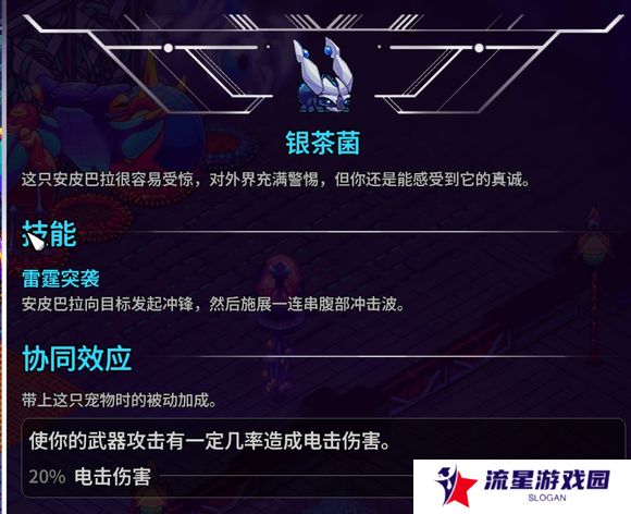 崩溃大陆2宠物图鉴攻略大全   全部宠物技能