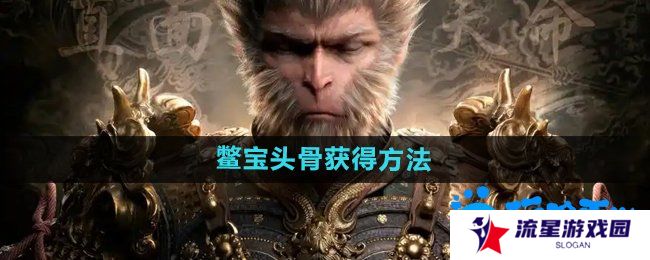 《黑神话悟空》鳖宝头骨‌获得方法