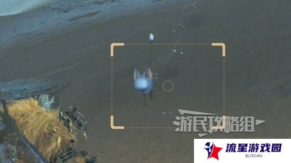 怪物猎人荒野沙野流星位置在哪   沙野流星位置