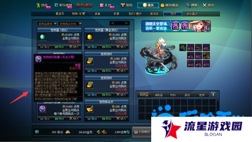 《DNF》宠物胶囊使用方法