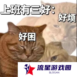 那些你没玩过游戏也知道的表情包 都是怎么火的