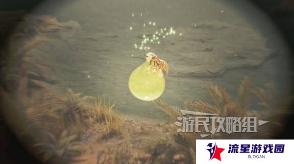 怪物猎人荒野大回复蜜虫位置在哪  大回复蜜虫捕获路线图片5