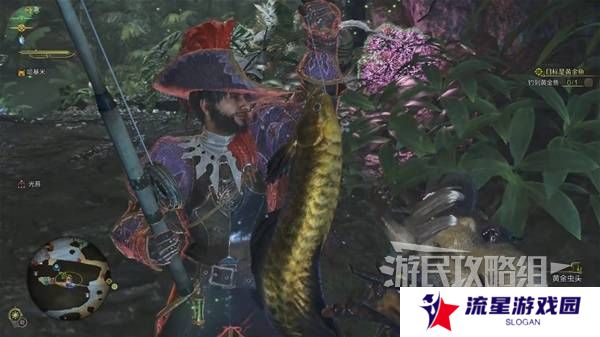 怪物猎人荒野黄金鱼怎么钓    钓黄金鱼位置一览图片6