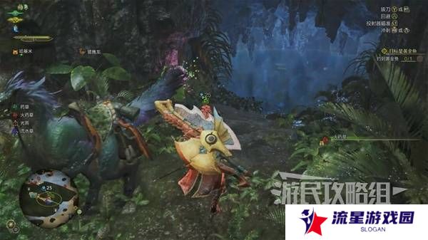 怪物猎人荒野黄金鱼怎么钓    钓黄金鱼位置一览图片4