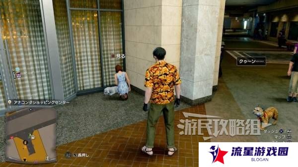 如龙8外传救护动物位置总汇   救护动物食材盘点图片19