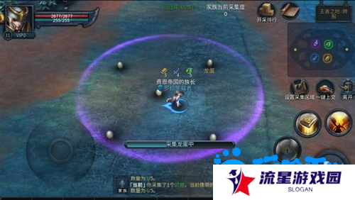 《暗黑黎明2》家族采集玩法介绍