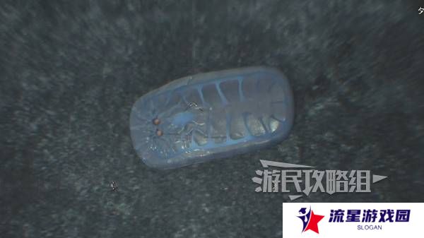 怪物猎人荒野大虚无动在哪捕获    大虚无动捕获攻略图片8