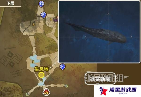怪物猎人荒野带卵弓鳍鱼不咬钩怎么办 带卵弓鳍鱼用什么饵？