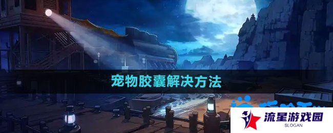 dnf宠物封印胶囊怎么用不了-宠物胶囊用不了解决方法