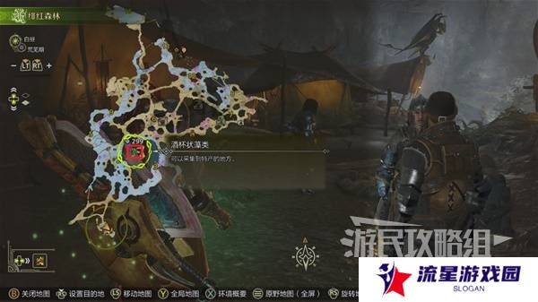 怪物猎人荒野黄金鱼怎么钓    钓黄金鱼位置一览图片3