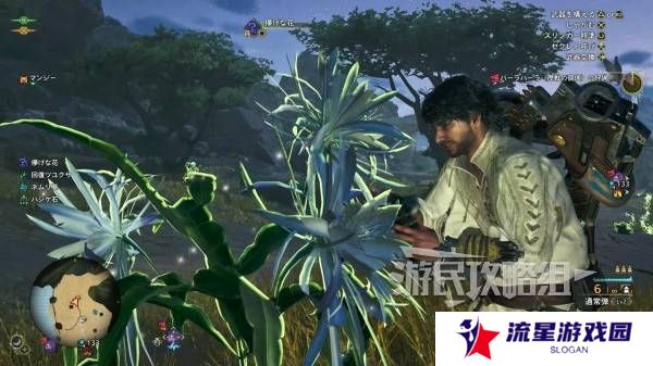 怪物猎人荒野一夜花的月华粉位置及获取途径一览图片1