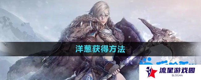 黑色沙漠洋葱怎么获得-洋葱获得方法