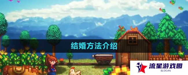 《星露谷物语》结婚方法介绍