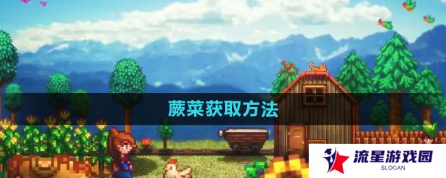 星露谷物语蕨菜怎么获取-蕨菜获取方法