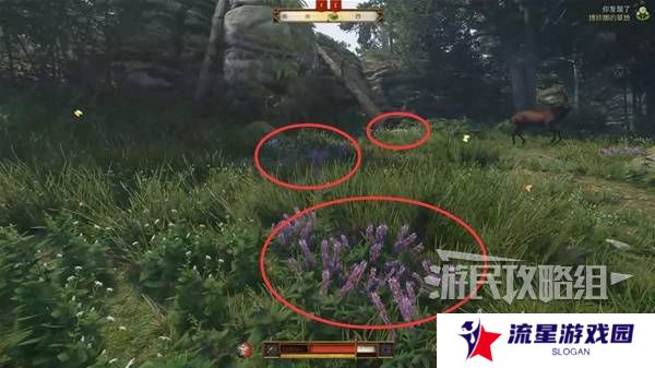 天国拯救2图文攻略大全   所有任务全流程攻略总汇图片29