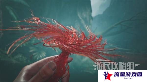 怪物猎人荒野攻略总汇   全章节任务流程攻略图片36