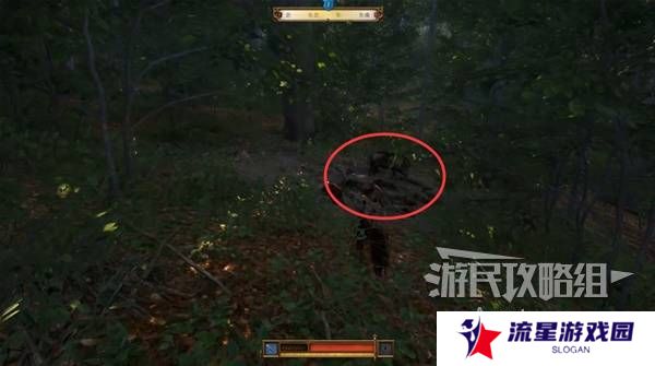 天国拯救2图文攻略大全   所有任务全流程攻略总汇图片72