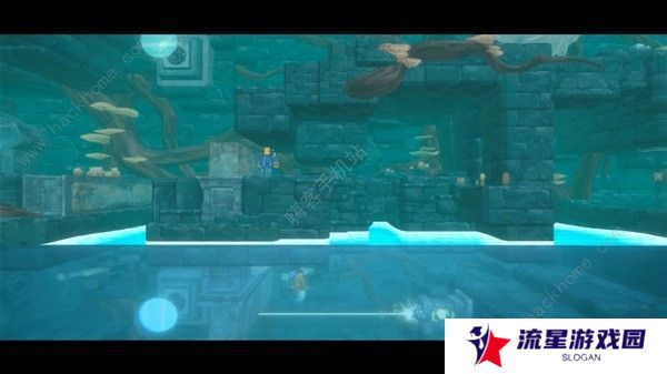 潜水员戴夫攻略大全 新手必玩技巧总汇图片19