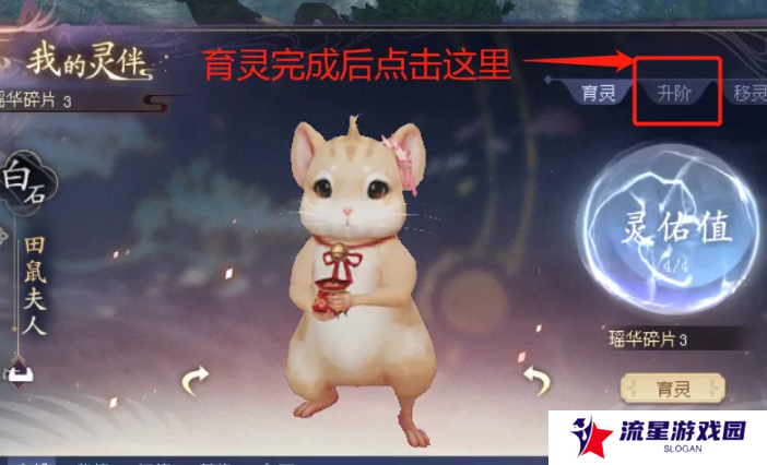 《倩女幽魂》灵伴升阶方法