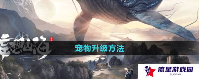 妄想山海宠物怎么升级-宠物升级方法