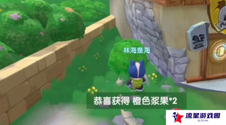 《摩尔庄园》橙色浆果获取方法