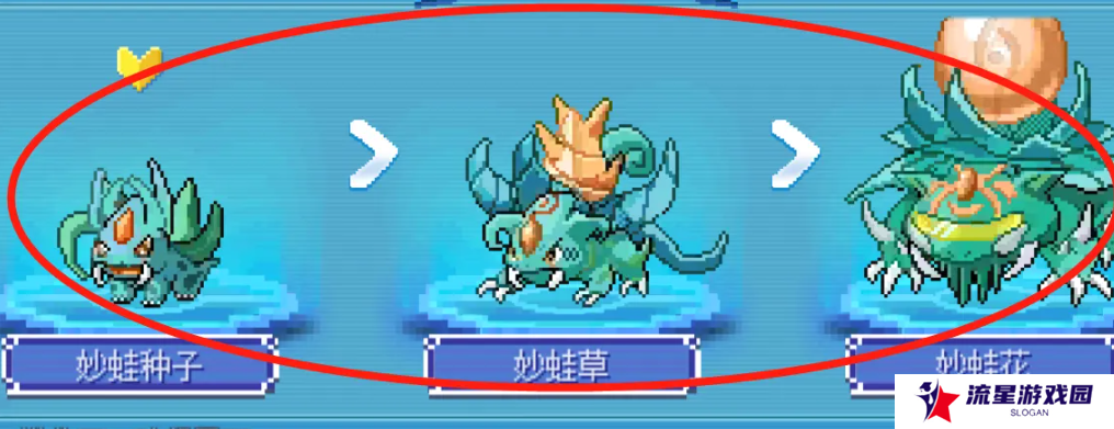 《口袋新世代》进化精灵方法