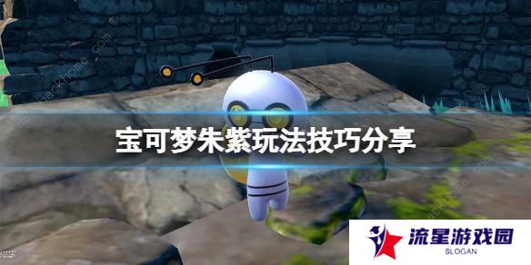 宝可梦朱紫攻略大全 新手必备技巧总汇