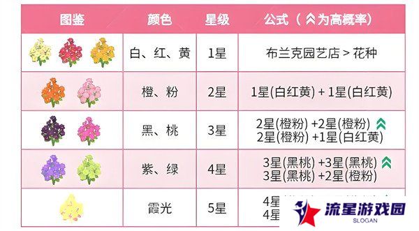 心动小镇迎春花杂交配方有哪些 迎春花杂交配方介绍一览