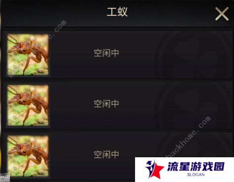 小小蚁国攻略大全 新手少走弯路技巧总汇图片2