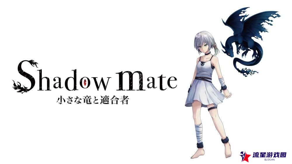 恐怖冒险游戏《暗影伙伴～小龙与契合者～（Shadow mate ~小さな竜と适合者~）》将于2025年登场 与小龙伙伴合作逃出实验室