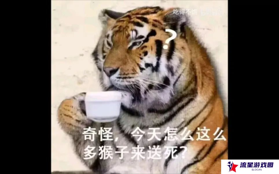 虎先锋本一心向善 却迫于现实只能低头的反差虎