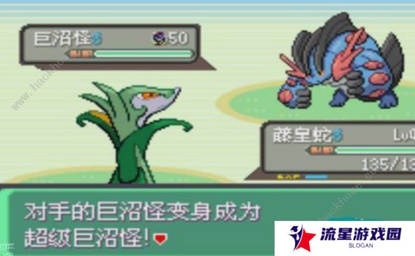 口袋妖怪究极绿宝石5.4攻略大全 5.4版本全周目通关总汇图片3