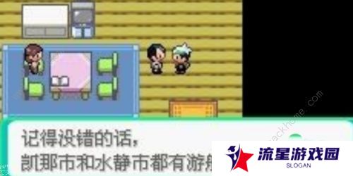 口袋妖怪究极绿宝石5.4攻略大全 5.4版本全周目通关总汇图片6